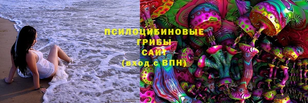 дурь Верхний Тагил