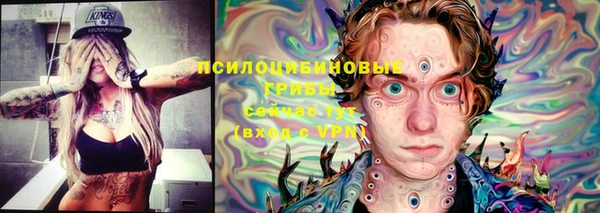дурь Верхний Тагил