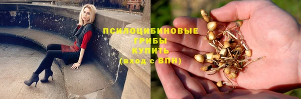 тгк Верея